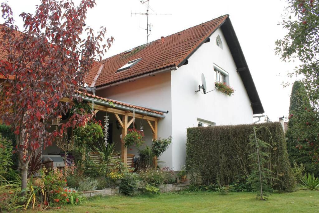Krasny Apartman V Brane Luzickych Hor Cvikov Exterior foto