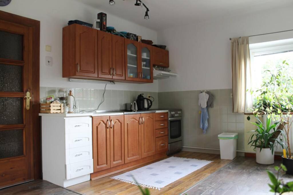 Krasny Apartman V Brane Luzickych Hor Cvikov Exterior foto